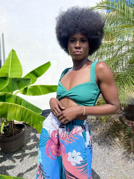 taylor-m-styles-not-so-basic-crop-top.jpg (2)